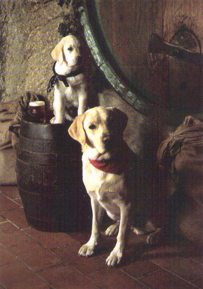 chodovar 01